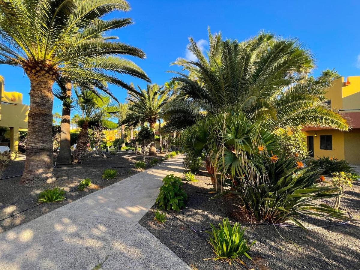 Atlantic Garden 238 By Holidays Fuerteventura Apartment