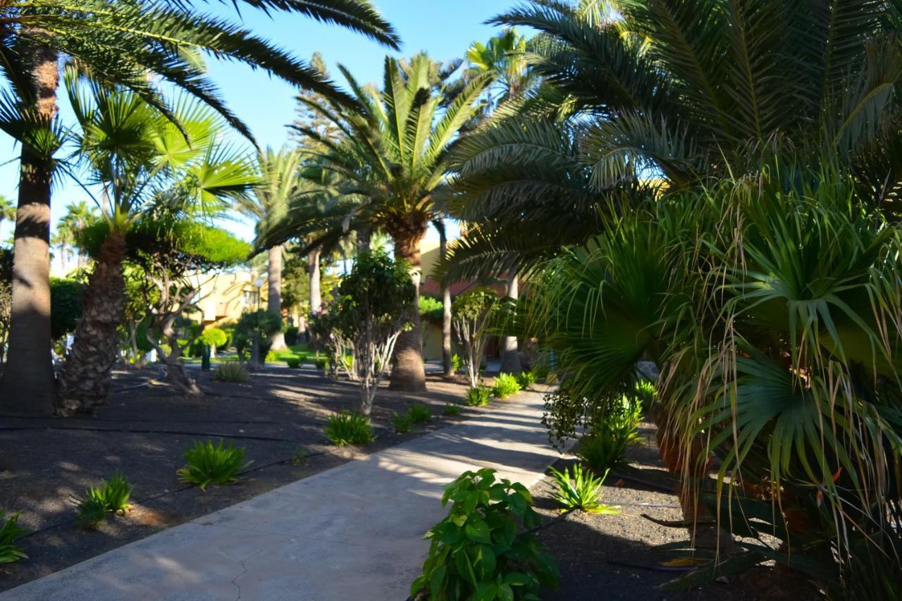 Appartement Atlantic Garden 238 By Holidays Fuerteventura